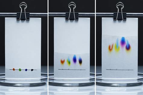 chromatography animation|Paper chromatography .